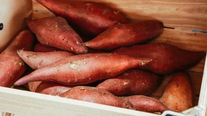 raw sweet potato