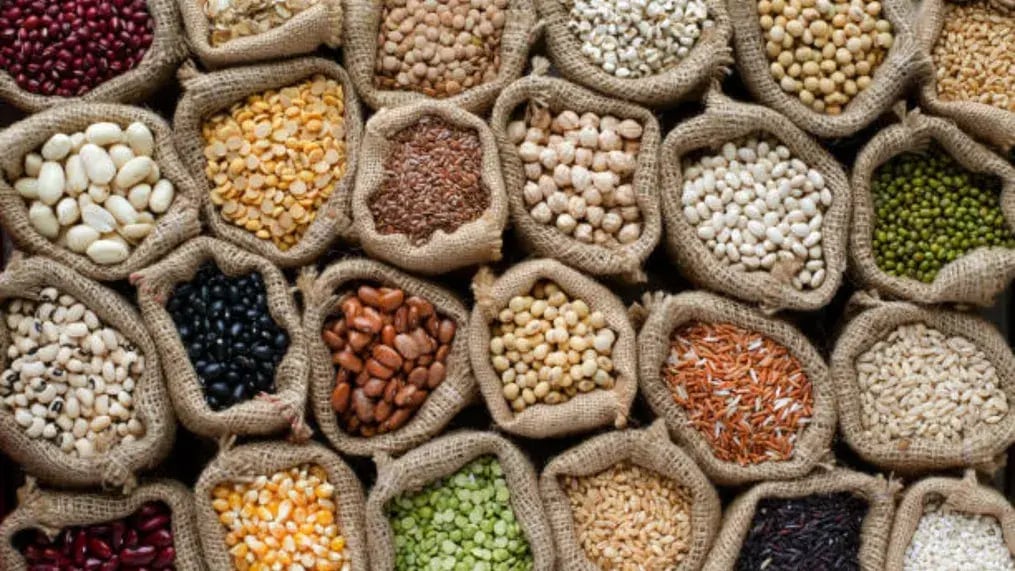 Conclusion-High Protein Pulses