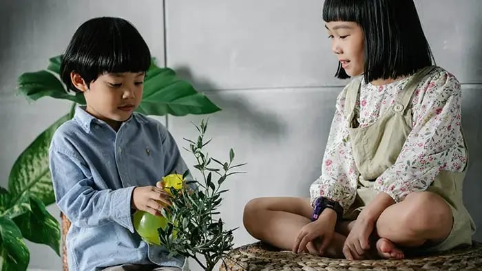 How Gardening Can Foster Responsibility in Children - Indoor gardening