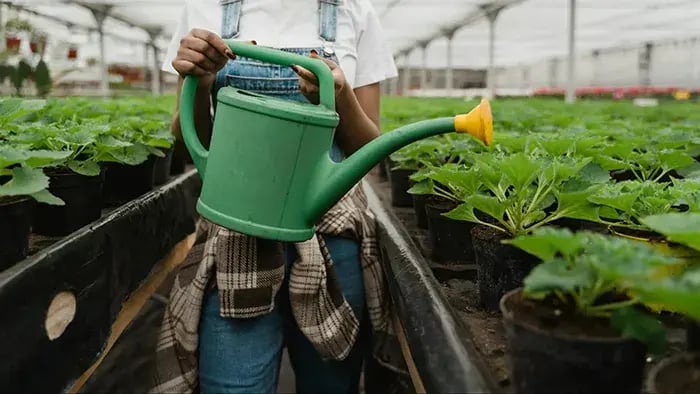 How Gardening Can Foster Responsibility in Children - Routine