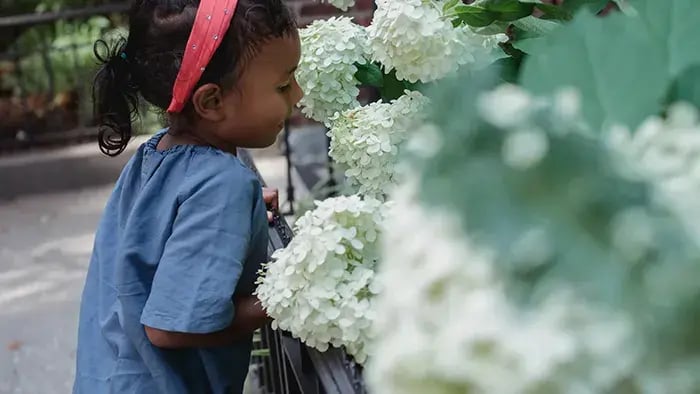 How Gardening Can Foster Responsibility in Children- Understanding The Term “Responsibility”