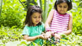 How Gardening Can Help Kids Develop Teamwork Skills