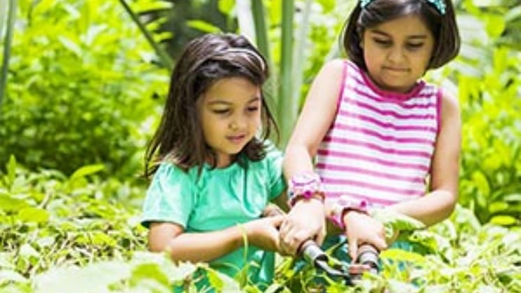 How Gardening Can Help Kids Develop Teamwork Skills