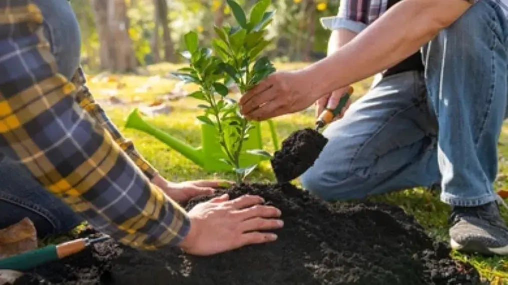 how-gardening-can-improve-kids-fine-motor-skills
