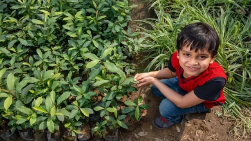 why-is-it-important-to-improve-fine-motor-skills-in-kids