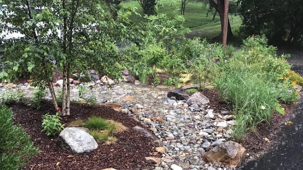 Make A Rainwater Garden