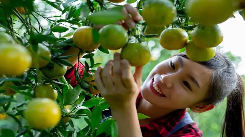 Grow And Teach Nutrition