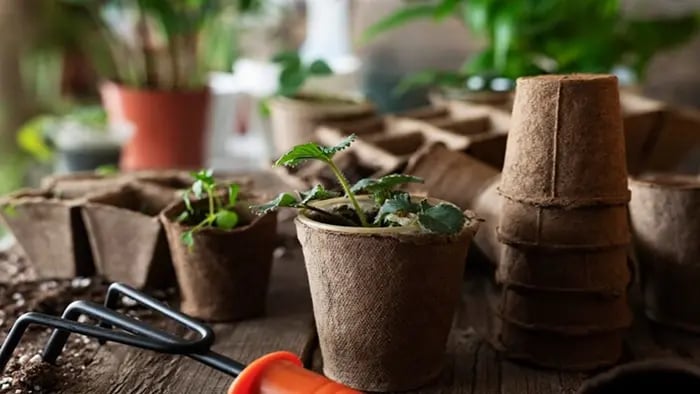 recycle-waste-products-as-pots