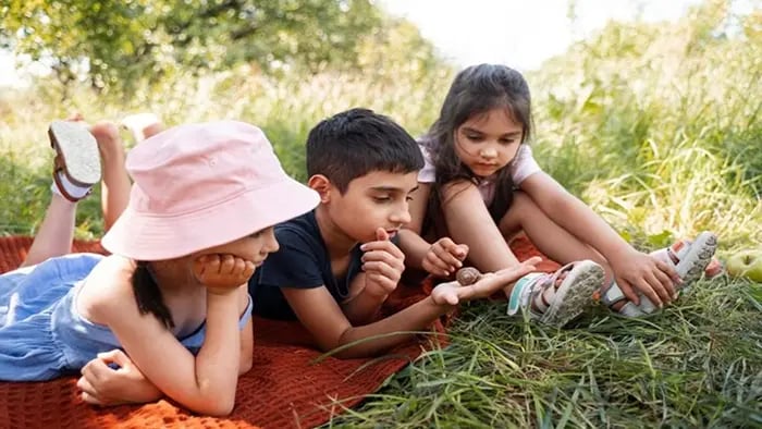 How To Motivate Your Child To Stay Active During Holidays - Plan Activities In Your Backyard Garden