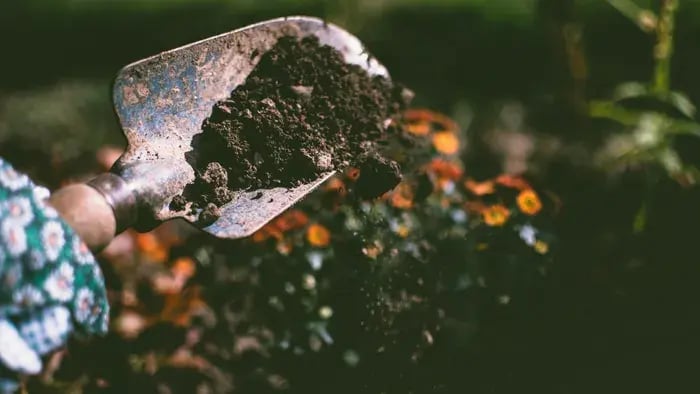 a shovel in the garden soil