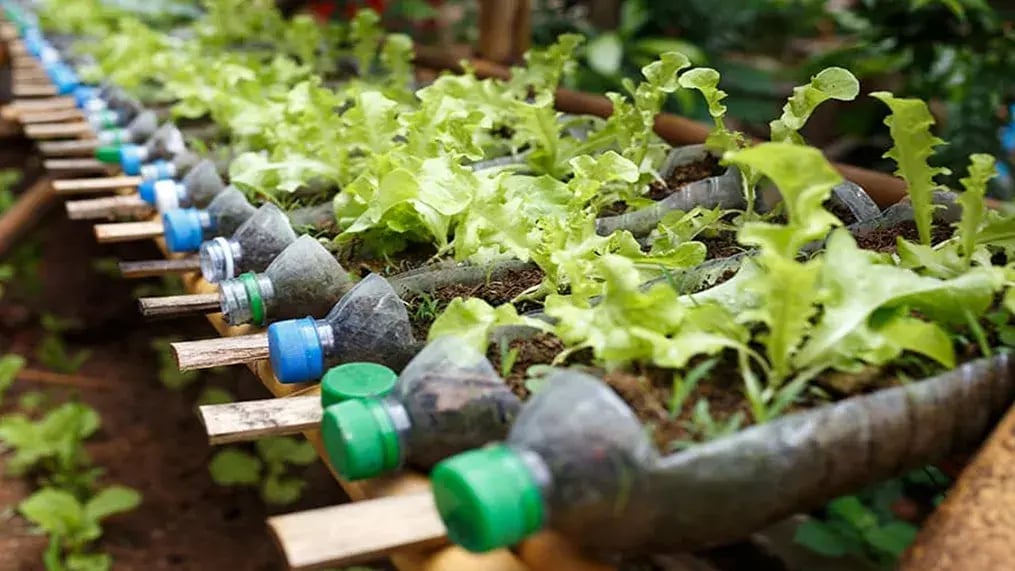 Recycle Waste Products For Gardening Purposes