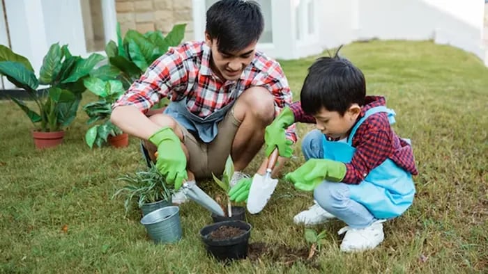 Importance Of Learning Maths Through Gardening
