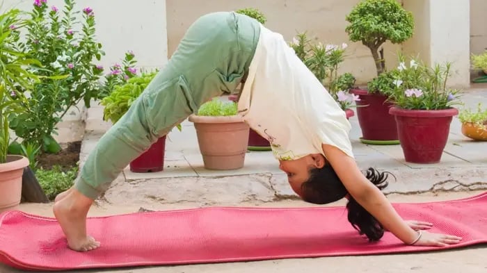 Importance Of Fitness