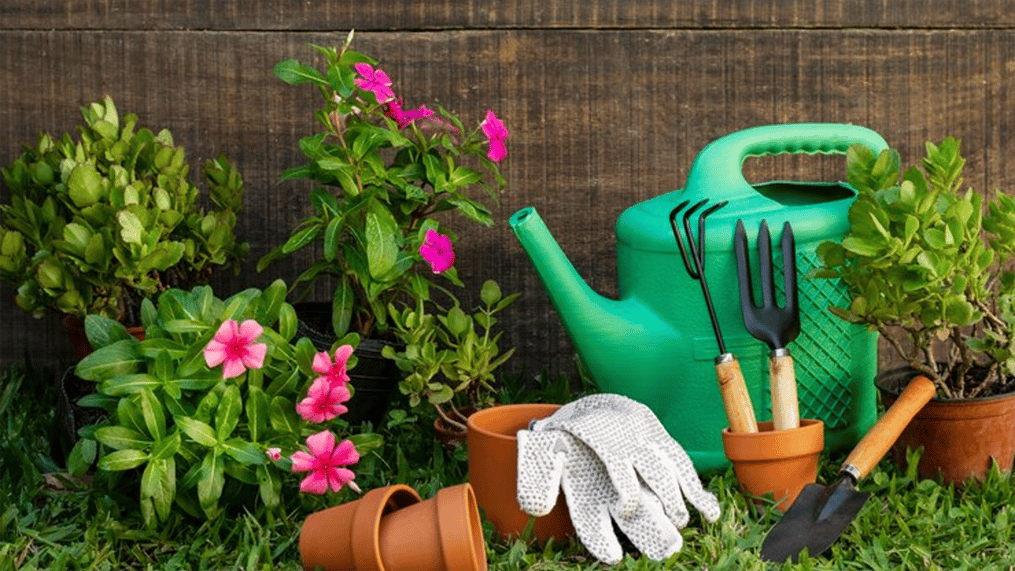 gardening