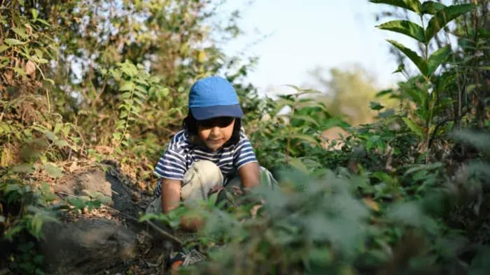 Indian kids doing Exercises