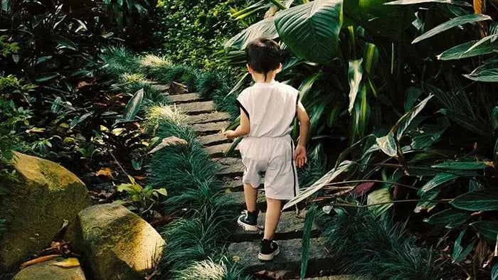 What Are The Benefits Of Mindful Walking