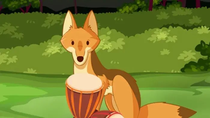 jackal in a forest with a drum