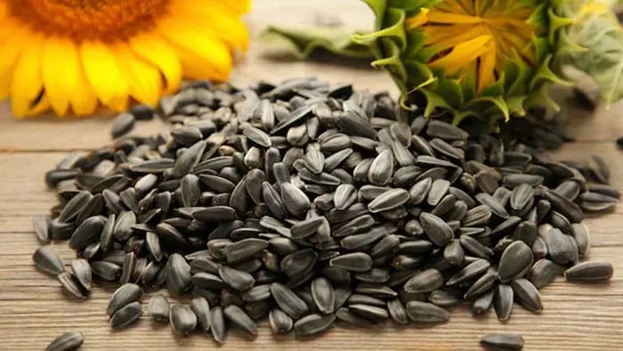 Nuts And Seeds: Healthy And Portable Protein Snacks For Kids - Sunflower Seeds