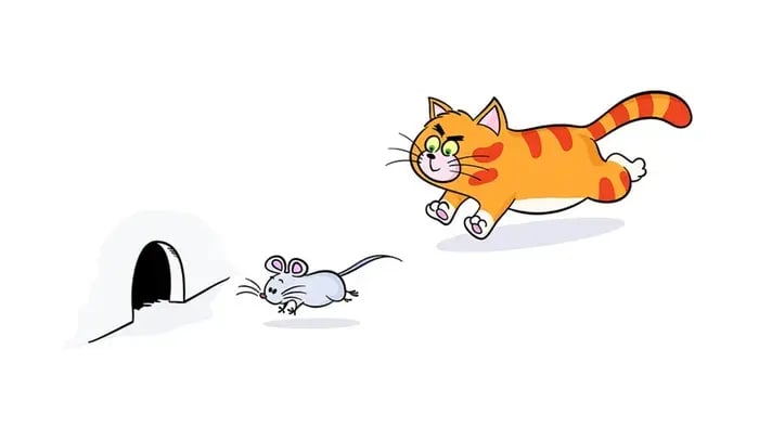 cat chasing a rat