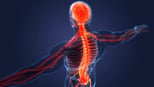 simple-ways-to-teach-kids-about-the-nervous-system