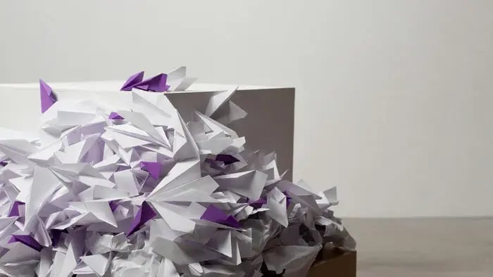 Paper Airplane Competition
