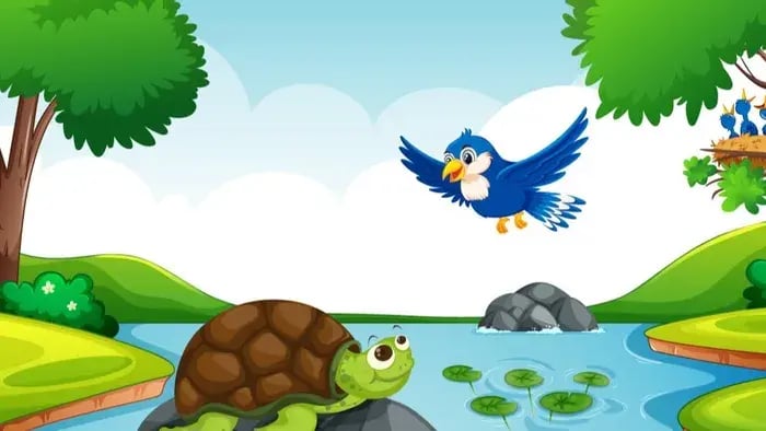 Tortoise Sitting On A Stone