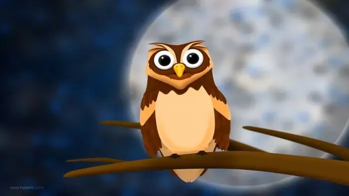 Owl on a tree bark