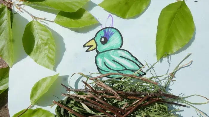 Nest And Bird Craft Project