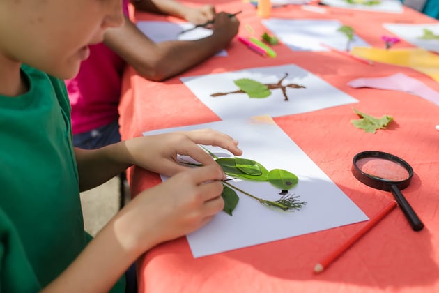 Summer Camps for Kids: Boosting Physical Activity & Well-being