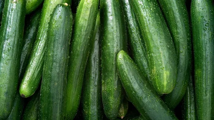 Fresh cucumber for summers