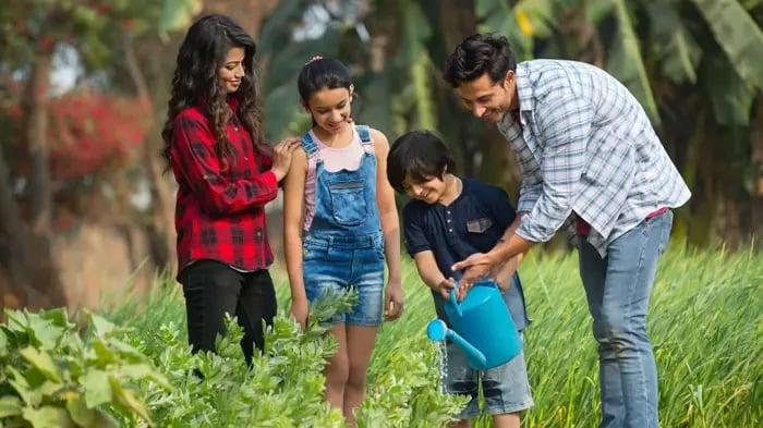 Household Chores For Kids