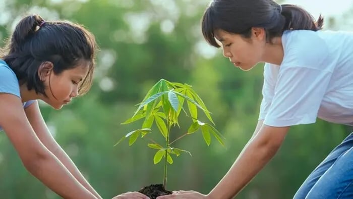 how-to-teach-kids-about-plant-life-cycles-through-gardening