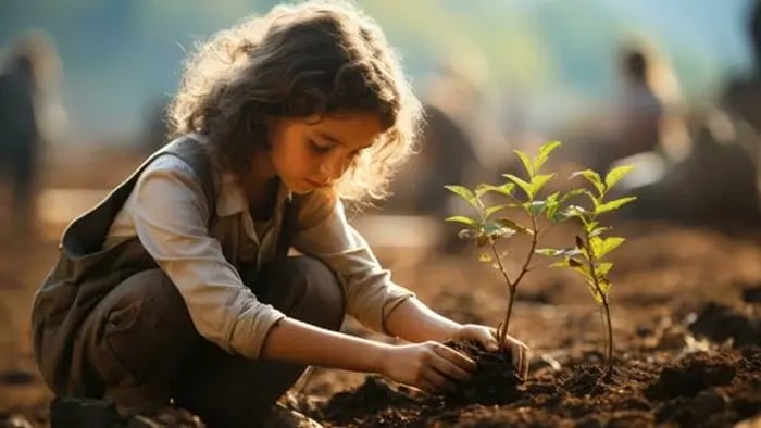 what-is-a-plant-life-cycle