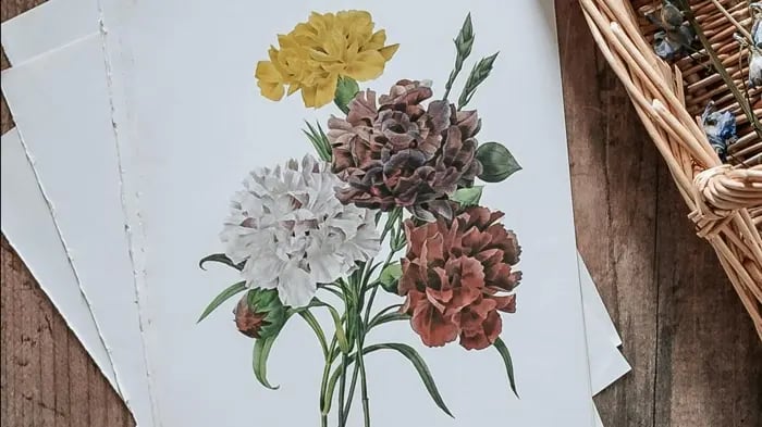 Flower Drawing