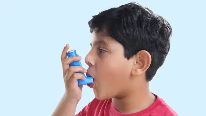Hygiene Hypothesis And Its Impact On Asthma In Children