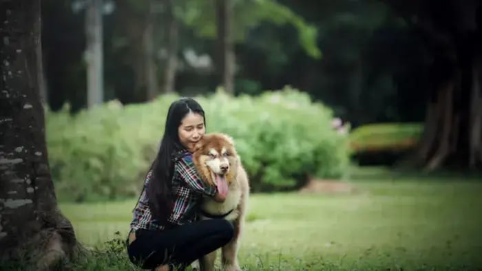 Why Are Animal-Assisted Activities Important For Kids’?