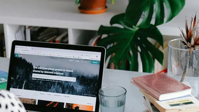 laptop and a plant on a desk
