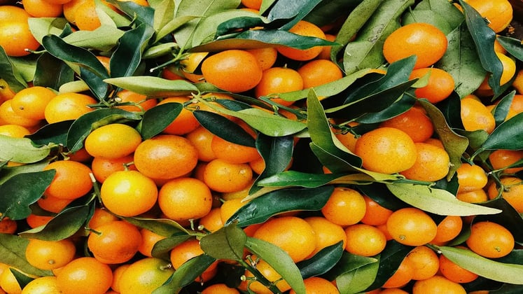 Top 10 Energy-Giving Foods to Keep Your Kids Active And Healthy