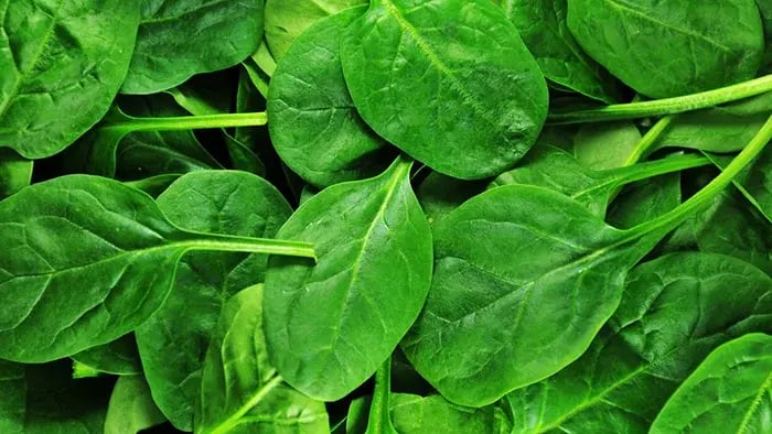 vitamin-d-rich-foods