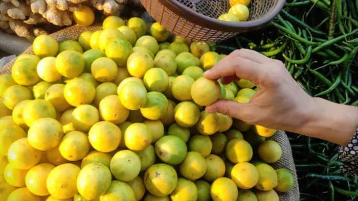 Immune Boosting Foods