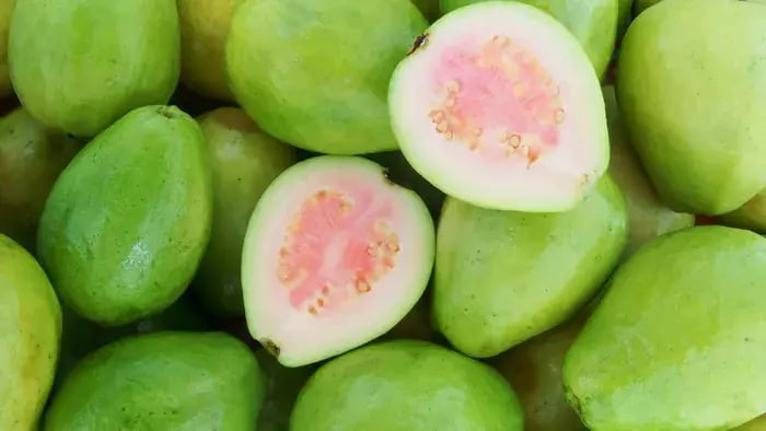 Top 7 Summer Fruits To Add To Every Child's Diet - Conclusion