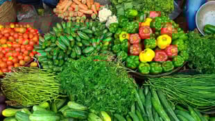 Top 9 Summer Vegetables To Add To Every Child's Diet