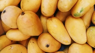 Top Foods Rich in Carbohydrates for Active Kids