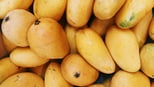 top-foods-rich-in-carbohydrates-for-active-kids