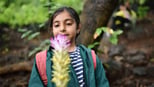 understanding-the-5-senses-for-kids:-fun-ways-to-learn-and-explore