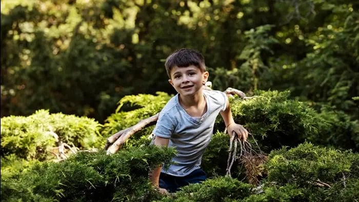 Using Hiking And Nature Walks To Build Endurance in Kids - Conclusion