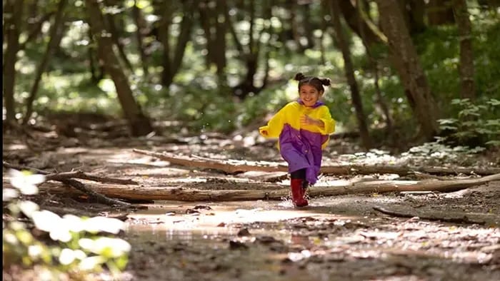 Using Hiking And Nature Walks To Build Endurance in Kids - The Connection Between Hiking And Building Endurance