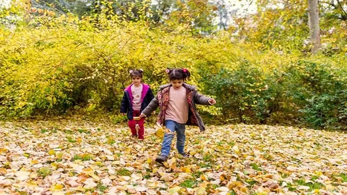 Using Hiking And Nature Walks To Build Endurance in Kids - Tips On Using Nature Walks And Hiking To Build Endurance In Kids