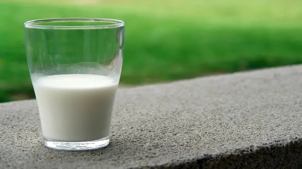 dairy-products