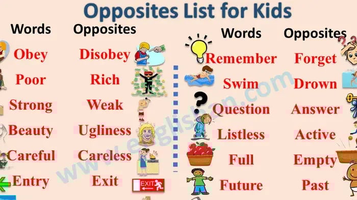 Vocabulary Box With Words And Images